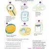 Busca tu tarea de formación cívica y ética. 1
