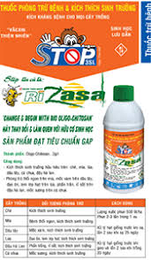 Rizasa 3SL