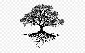 Image Result For Oak Tree Vector Art Oak Tree Tattoo Live Oak Tree Tattoo Tree Roots Tattoo