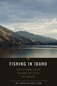 Catch Some Monsters In The Lakes And Rivers Of The Gorgeous State Of Idaho Our Guide Gives You 10 Great Spots For You Lake Fishing Fishing Tips Kayak Fishing
