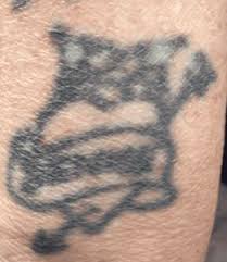 How long does a tattoo take to heal? The Biology Of A Healing Tattoo Tattoo Hubtattoo