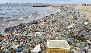Plastik schwimmt im meer, verstopft strände und die mägen von tieren. Wie All Das Plastik Ins Meer Gelangt Science Orf At