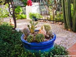 They do not need much care and will thrive, once established, even through heat and drought. Take A Tour Of My Container Plants In The Desert Joy Us Garden