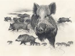 Wild Boars Hunt Graphic Drawing Signed Author S Print Wild Boar Art Hunt Hunting Art Boar Hunting Hunting Decor Hunting Gifts In 2020 Hunting Art Wild Boar Hunting Boar Hunting