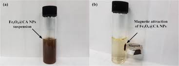 Check spelling or type a new query. Simple Rapid Stabilization Method Through Citric Acid Modification For Magnetite Nanoparticles Scientific Reports