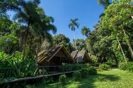 Enjoy hotel khao sok & spa video. Die 10 Besten Hotels In Khao Sok National Park 2021 Ab 9 Gunstige Preise Tripadvisor