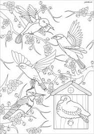 It is nearly 2 feet (0.5 m) in length. Birds Coloring Pages For Adults