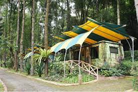 Set in puncak, 15 mi from little venice kota bunga, taman safari lodge offers accommodations with a restaurant, free private parking, a garden and a terrace. Taman Safari Lodge Puncak Indonesien Preise 2020 Agoda