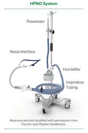 Secure nasal cannula on patients using supplied wiggle pads, ensuring the prongs sit well into the nares. Safe Use Of High Flow Nasal Oxygen Hfno With Special Reference To Difficult Airway Management And Fire Risk Anesthesia Patient Safety Foundation
