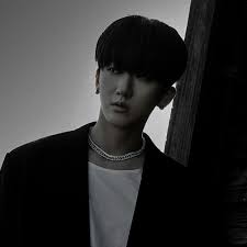 Discover 21 changbin and stray ideas