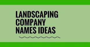 471 Catchy Landscaping Company Names Video Infographic Landscaping Company Landscape Company Company Names