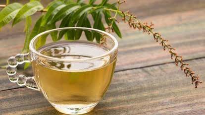 Lemon Verbena Tea