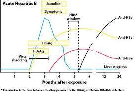 Kaplan Usmle Step 1 Prep Change In Serologic Findings