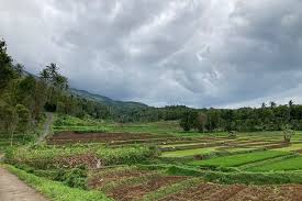 Untuk arah utara, desa setianegara berbatasan dengan desa cibeureum, dan di sebelah barat berbatasan langsung dengan hutan lindung gunung ciremai. Ide Staycation Di Linggarjati Kuningan Saat Libur Lebaran Halaman All Kompas Com