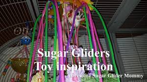 This is such an easy toy to make! Toy Inspiration For Sugar Gliders Youtube