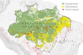 Bu haritada türkiyeye dikkat ettiniz mi ? What Satellite Imagery Tells Us About The Amazon Rain Forest Fires The New York Times