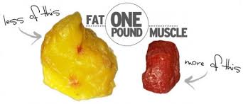 5 Lbs Of Muscle Vs 5 Lbs Of Fat Team Robertson