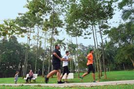 Designer studio on bukit bintang #201. Eight Kl Parks You Should Not Miss Edgeprop My