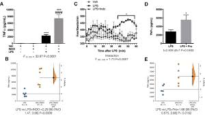 Resize jpg, png image online by choosing predefined size or customize height and width, get desired image which is easier to upload on any website, shared by email. Time Of Day Dependent Gating Of The Liver Spinal Axis Initiates An Anti Inflammatory Reflex In The Rat Eneuro