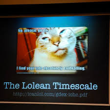 Image result for i can has cheezburger