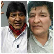 Ana Maria Zalles (@ana_zalles)