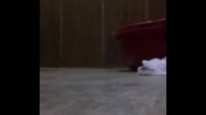 Mi prima en la ducha - XNXX.COM