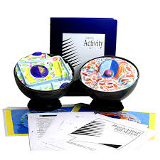 We did not find results for: Inflatable Animal Cell Model India Inflatable Animal Cell Model Manufacturer Inflatable Animal Cell Model Suppliers And Inflatable Animal Cell Model Exporters In India