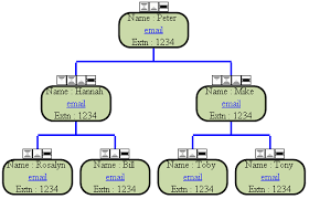 hierarchies in the organisation