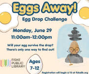 Eggs Away! Egg Drop Challenge