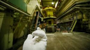We did not find results for: Tschernobyl Tiere In Der Todeszone Geo