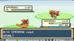 Pokemon Pc Spearow To Fearow