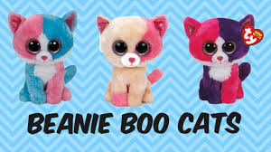 Beanie Boo Cats And Their Birthdays Can You Spot The Real Cats Hiding In This Vid Youtube