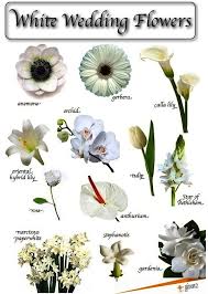 Designed as a loose, boho, garden style. Wedding Bouquet Choose The Best According To Your Personality