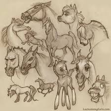 Notes On Character Design Horse Drawings Animal Drawings Cartoon Drawings