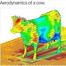 Aerodynamics of a cow : r/ofcoursethatsathing