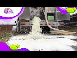 Https Www Yafita Com A 2995897 أفضل 5 مسلسلات أنمي قدمتها نتفلكس حتى الأن Https Static Yafita Net Evs D 0 299 Ev2995897 Org Icon Jpg أفضل 5 مسلسلات أنمي قدمتها نتفلكس حتى الأن متع عقلك قناة تمنحك رحلة مسلية فى عالم المعرفة والعلم أشترك معنا