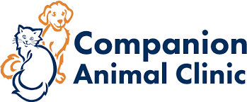 A member of the community. Companion Animal Clinic Veterinarian Fairfax Station Va Animal Hospital Fairfax Grooming Boarding Fairfax Va