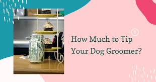 When i present the credit/debit card terminal there are options for 10%, 15%, and 20% tip (if they want to leave one). How Much To Tip Your Dog Groomer Groomers Land