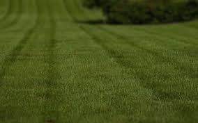 A lawn service provider in savannah and pooler for many years. Pin On Move