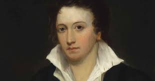 Shelley, Darwin, and the 19th-Century God Debate