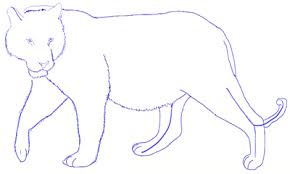 500x528 how to draw a cartoon baby tiger with easy step by step drawing. How To Draw A Tiger Head Step By Step For Beginners Novocom Top
