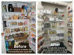 Moths Invaded Our Pantry Bugs Like Real Food Too 100 Days Of Real Food Real Food Recipes Pantry Moths