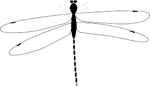 Download Svg Needle Mosquito Sewing Dragonfly Free Svg Image Icon Svg Silh PSD Mockup Templates