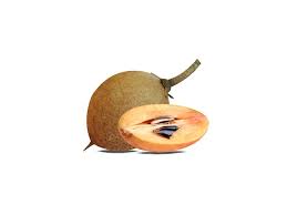 Image result for Manilkara