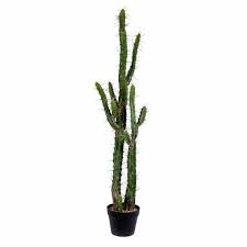 The centre of the bar reads 1 oz, silver, and 999.0, signifying 99.9% pure silver. Small Artificial Cactus Wayfair