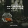 Then check out this funny fishing show either way, i know that if you are an angler that you will appreciate and relate to these amazing fishing quotes from celebrities, presidents, generals. 1