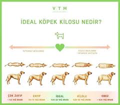 Kopeginizin Ideal Kilosu Ve Yag Orani Vtm Hayvan Hayvanhastanesi Kedi Kopek Kilo Rejim Yavrukopek Yavrukedi Veteriner Veterinerhekim Pet