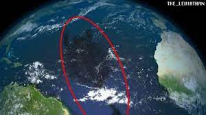 Makhluk laut terbesar di dunia. Misteri Hewan Raksasa Purba Sepanjang 8 000 Km Tinggal Di Laut Berikut Ini Penjelasan Ahli Sriwijaya Post