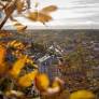 Increasing Number of Women Leaving Politics in Sweden Amid Hostile Environments