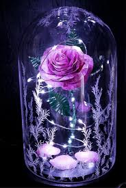 Beauty And The Beast Rose Glass Dome Pink Metal Forever Image 2 Beauty And The Beast Wallpaper Beauty And The Beast Flower Cute Galaxy Wallpaper